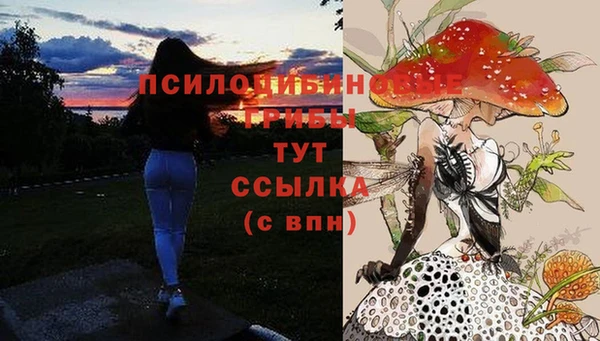 МДПВ Переславль-Залесский