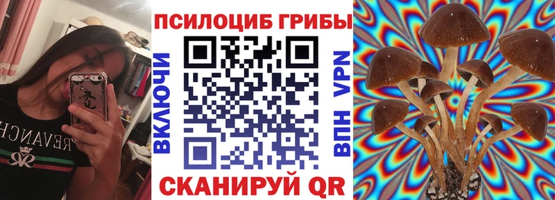 Галлюциногенные грибы MAGIC MUSHROOMS  Козьмодемьянск 