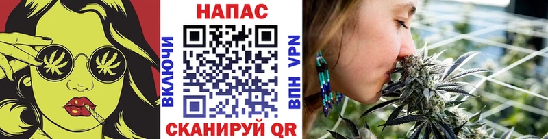 Бошки Шишки гибрид  продажа наркотиков  Козьмодемьянск 